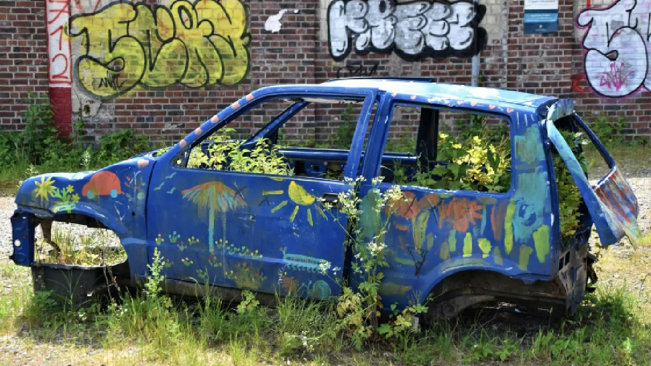 La buena noticia es que el gobierno de la ciudad ya ha diseñado un plan para retirarlos. ¿Te gustaría saber cómo se llevará a cabo y qué sucede si los dejas sin atención? Te lo contamos.