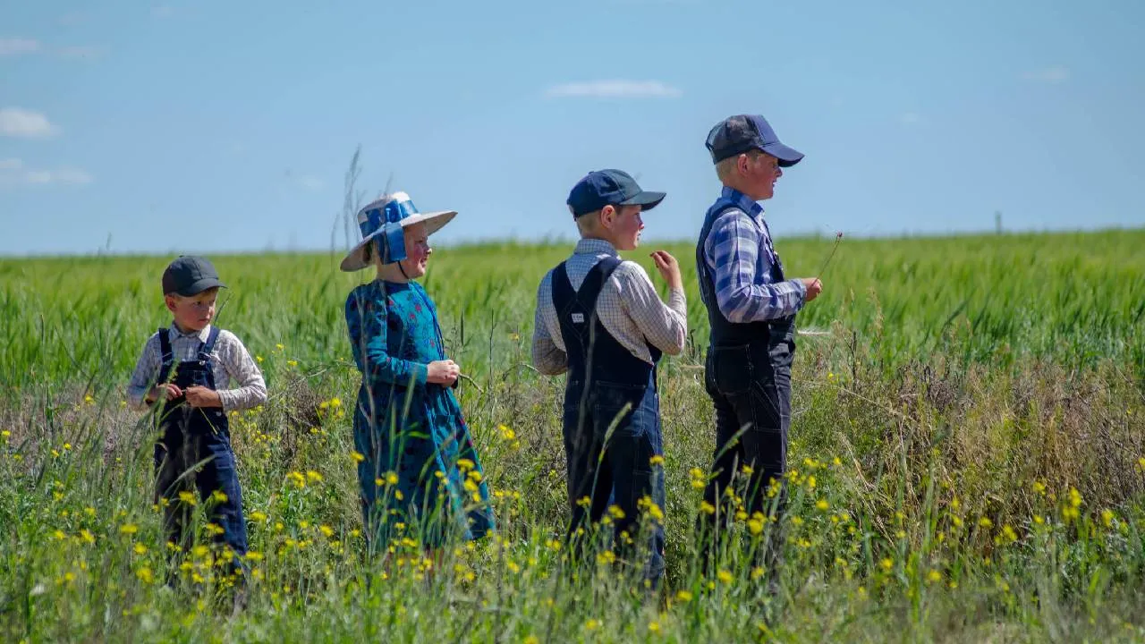 Su actividad fundamental es la agricultura. Las mujeres y los niños pequeños atienden a los animales. Siembran maíz, frijol, cebada, centeno, trigo, sorgo, lino y principalmente avena.