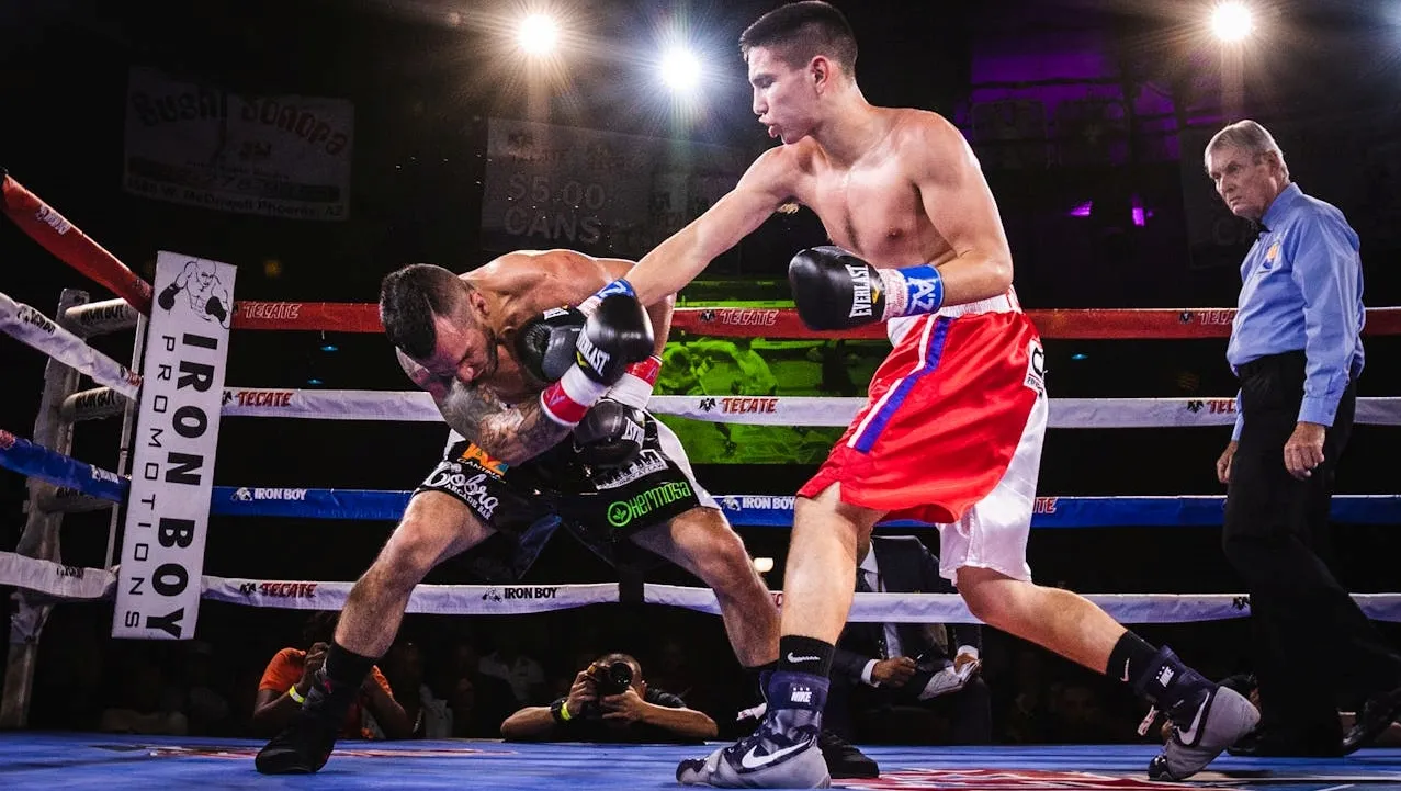 mega función de box