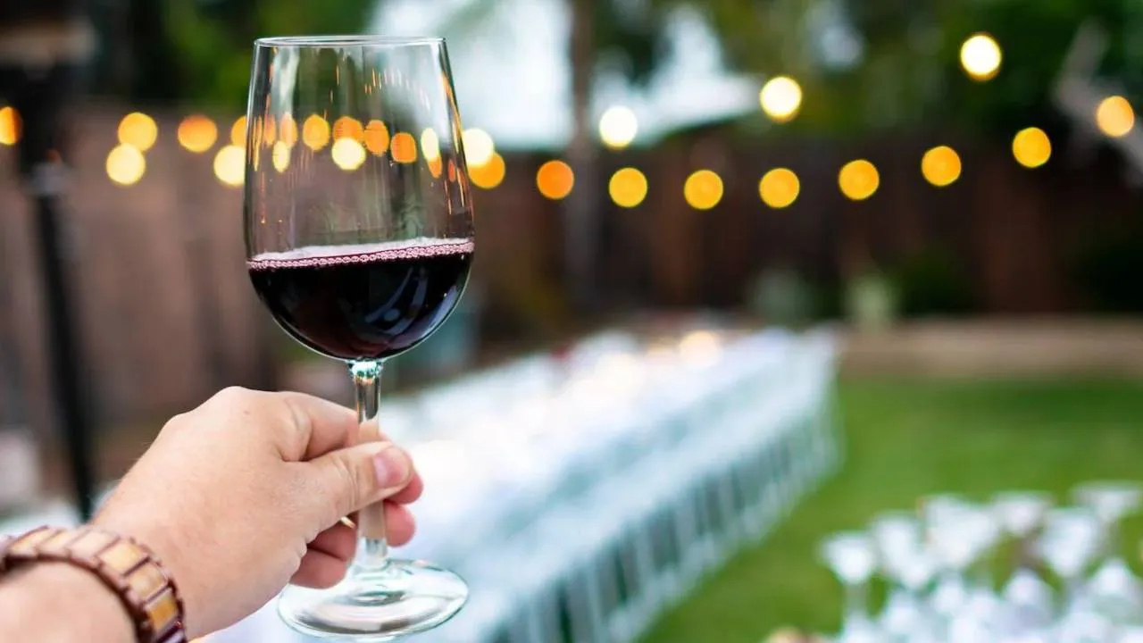 ¿Qué vino elegir para brindar con tu verano?