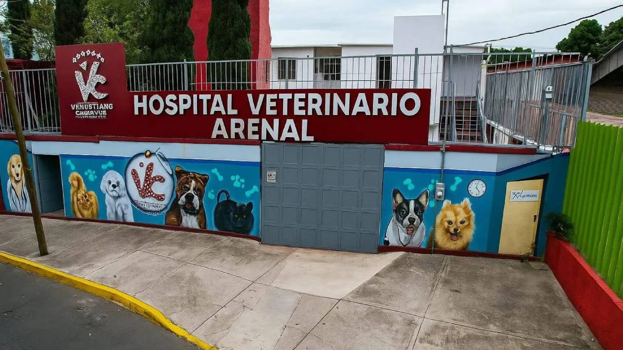 Hospital Veterinario Arenal en CDMX, atención para tus mascotas 24/7