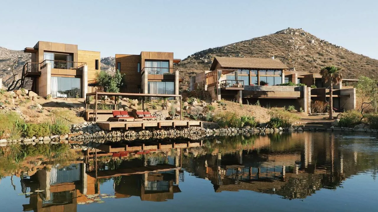 Hoteles con viñedos en Baja California: lujo, vino y naturaleza