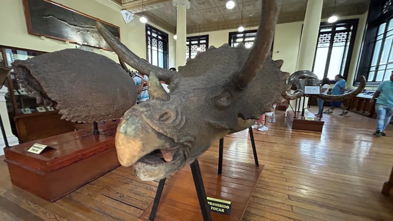 Museo de Geología UNAM: un viaje al corazón de la Tierra Foto: Sectur