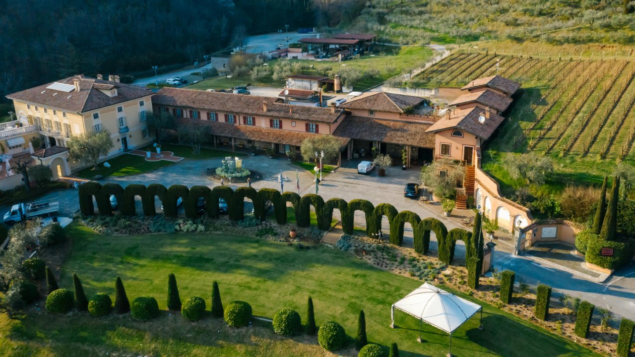 Los 4 viñedos imperdibles de Baja California