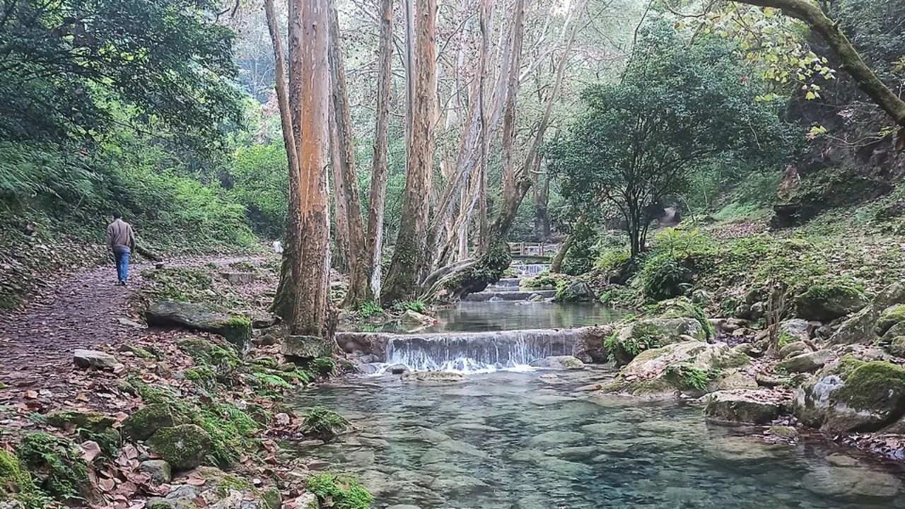 Reserva de la Biósfera Sierra Gorda