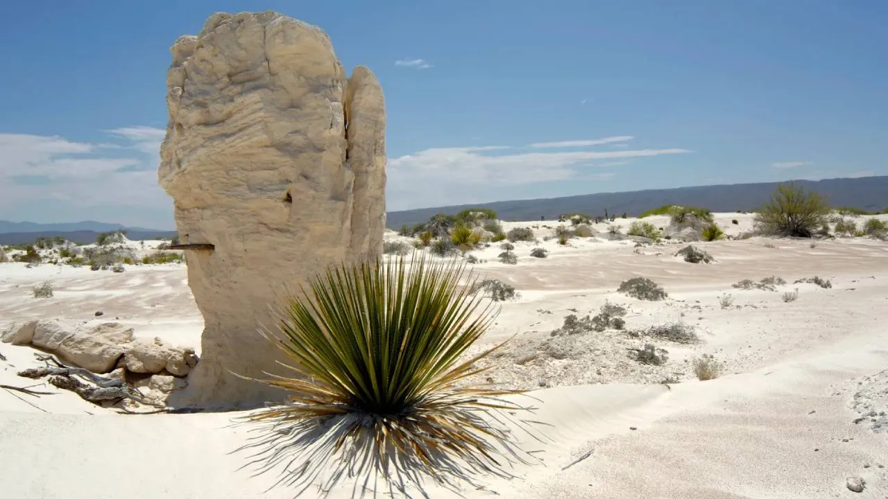 Turismo en el desierto de Chihuahua: aventura y biodiversidad