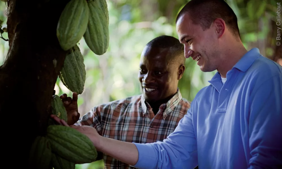 Sicao, cacao mexicano.