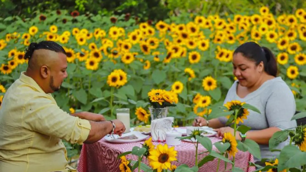 Jardín Suut K’iin Lool