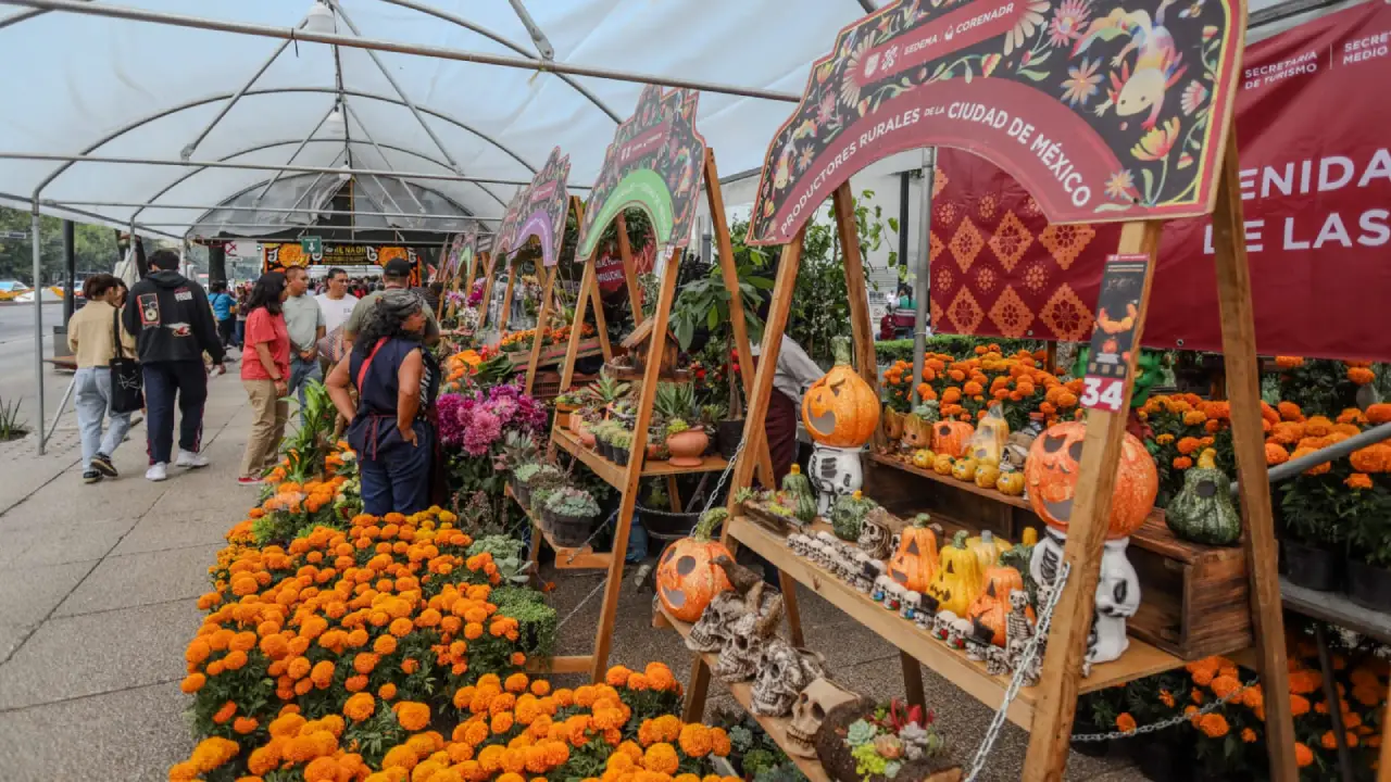 Cómo elegir flores de cempasúchil para Día de Muertos sin que te engañen