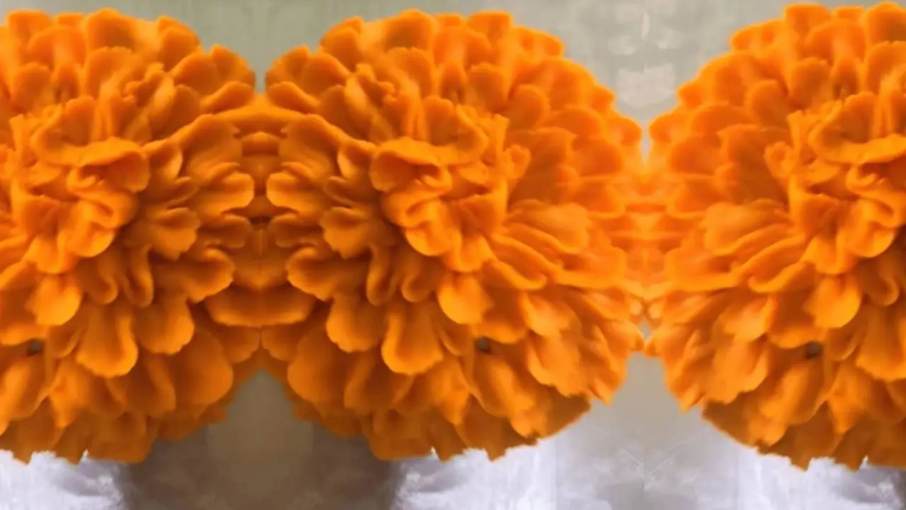 Conchasúchitl: dónde comprar la concha con forma de flor de cempasúchil