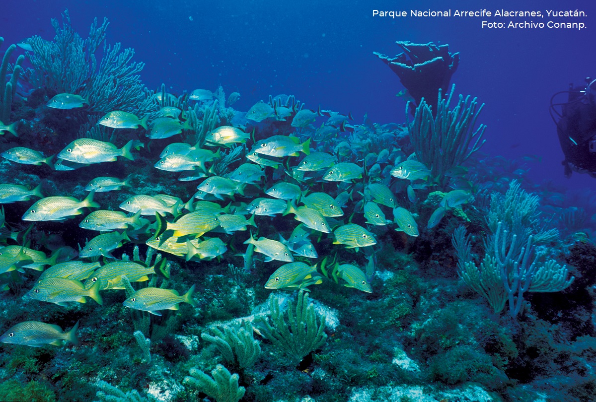 Rincones mágicos que enamora a México prueba