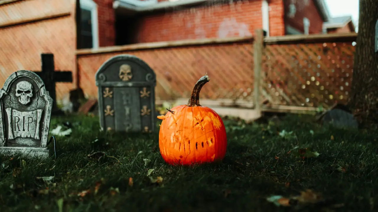 Octubre se convierte en un mes donde lo macabro se mezcla con lo festivo, recordándonos que hasta el miedo puede ser motivo de celebración.