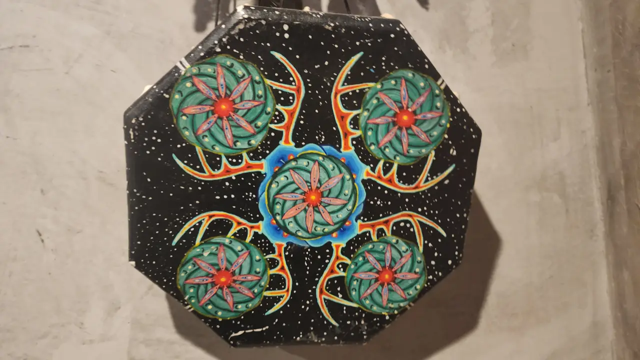 Nayarit te muestra su oferta en Los Pinos con un festival