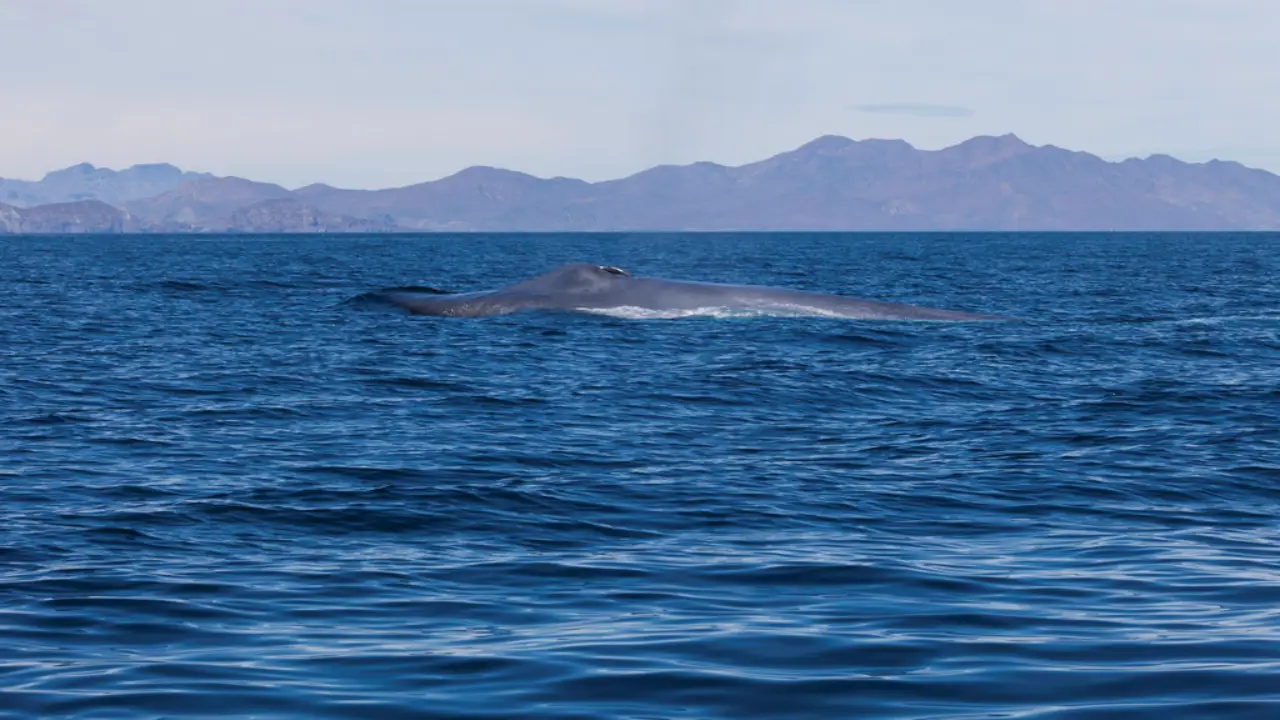 destinos sustentables